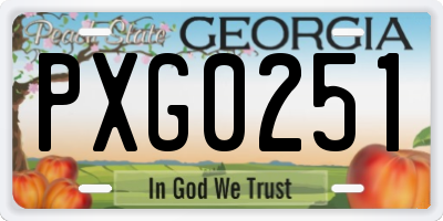 GA license plate PXG0251
