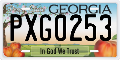 GA license plate PXG0253
