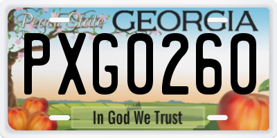 GA license plate PXG0260