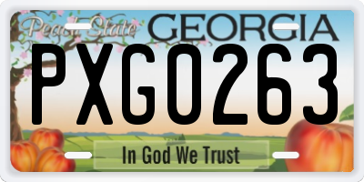 GA license plate PXG0263