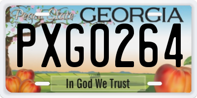 GA license plate PXG0264