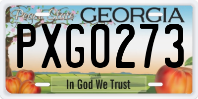 GA license plate PXG0273