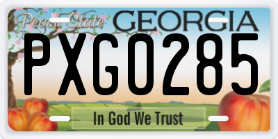 GA license plate PXG0285