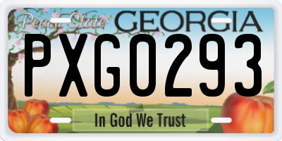 GA license plate PXG0293