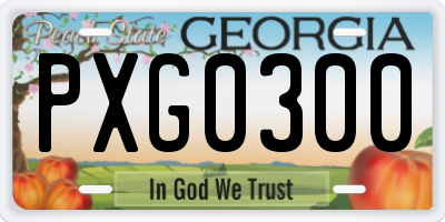 GA license plate PXG0300