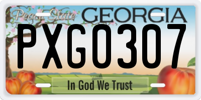 GA license plate PXG0307