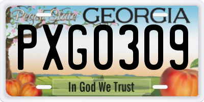 GA license plate PXG0309