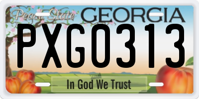 GA license plate PXG0313