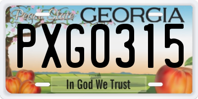 GA license plate PXG0315