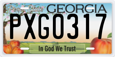 GA license plate PXG0317