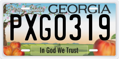 GA license plate PXG0319