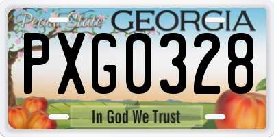 GA license plate PXG0328