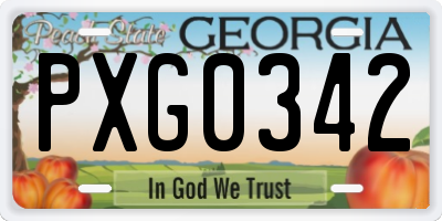 GA license plate PXG0342