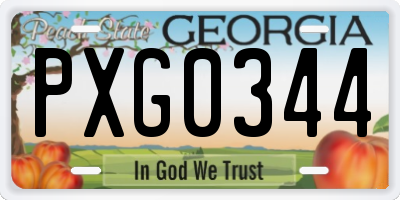 GA license plate PXG0344