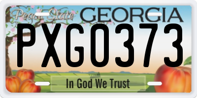 GA license plate PXG0373