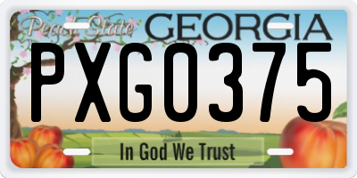 GA license plate PXG0375