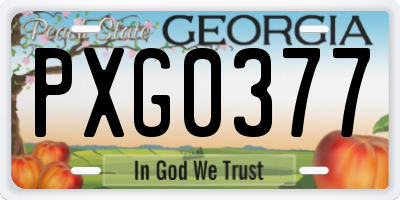 GA license plate PXG0377