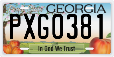 GA license plate PXG0381