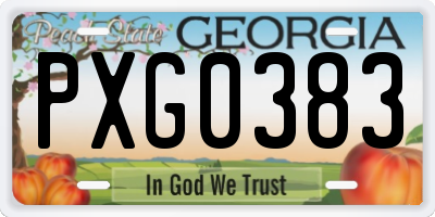 GA license plate PXG0383