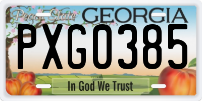 GA license plate PXG0385