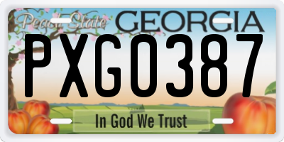 GA license plate PXG0387