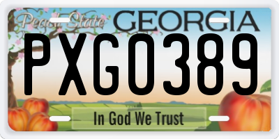 GA license plate PXG0389