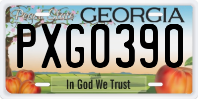 GA license plate PXG0390