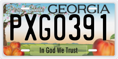 GA license plate PXG0391