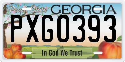 GA license plate PXG0393