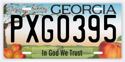GA license plate PXG0395