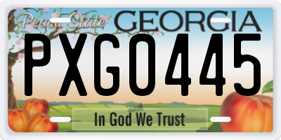 GA license plate PXG0445