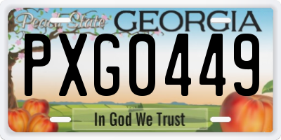 GA license plate PXG0449