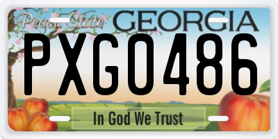 GA license plate PXG0486