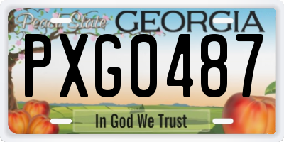 GA license plate PXG0487