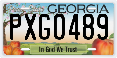GA license plate PXG0489