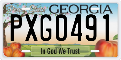 GA license plate PXG0491