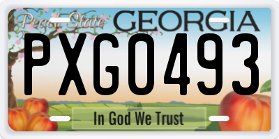 GA license plate PXG0493