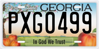 GA license plate PXG0499