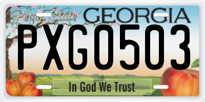 GA license plate PXG0503
