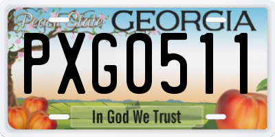 GA license plate PXG0511