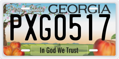 GA license plate PXG0517