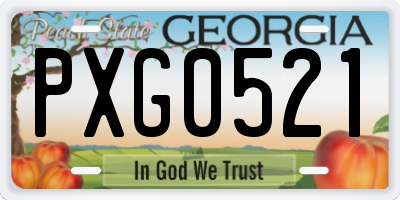 GA license plate PXG0521