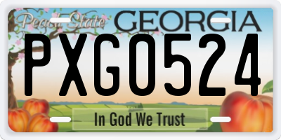 GA license plate PXG0524