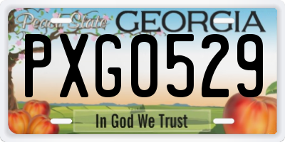 GA license plate PXG0529