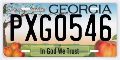 GA license plate PXG0546