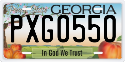 GA license plate PXG0550