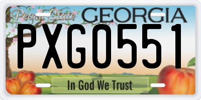 GA license plate PXG0551