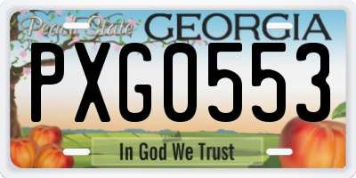 GA license plate PXG0553