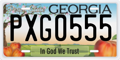 GA license plate PXG0555