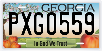 GA license plate PXG0559
